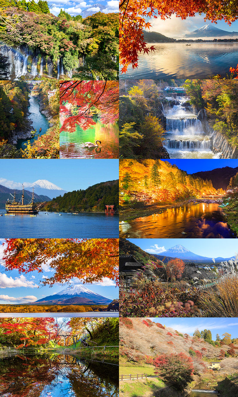 《攝遊網》富士山秋楓