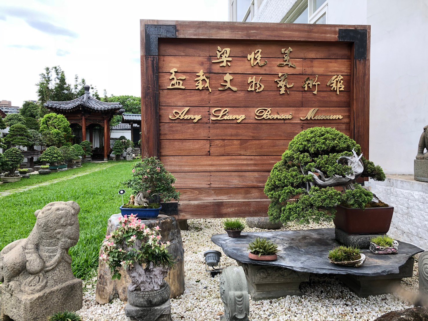 盆栽療癒工作坊5/2