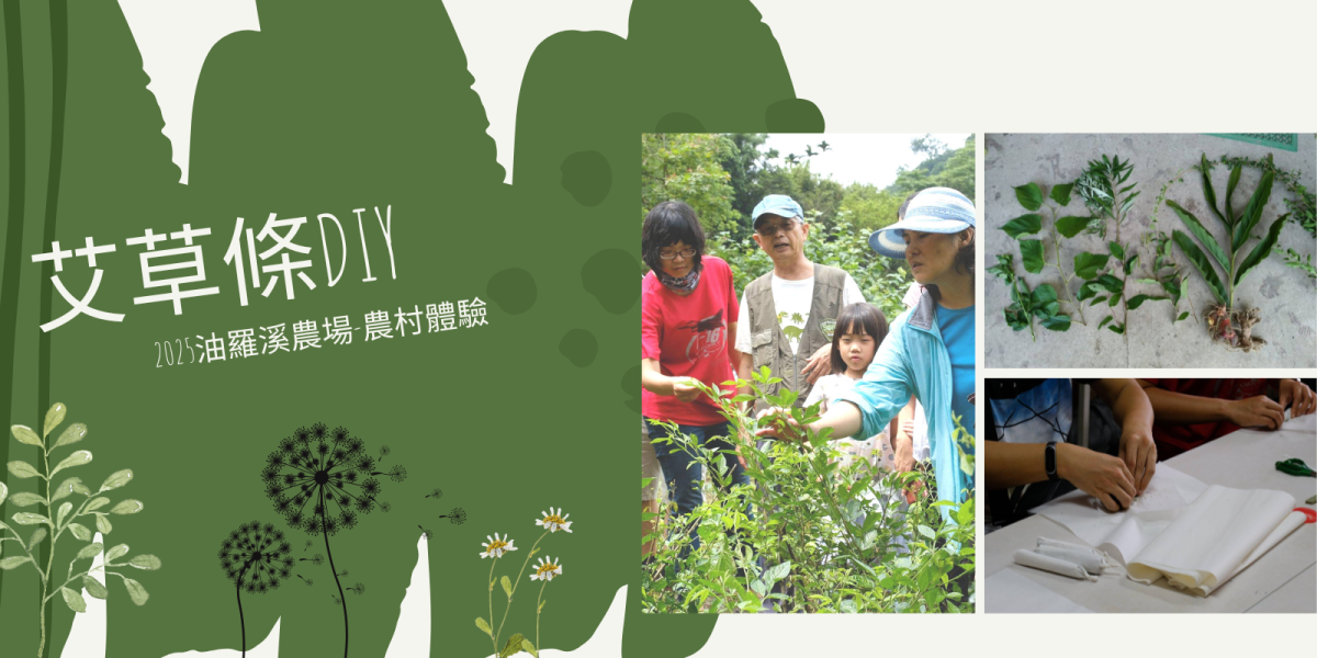 【荒野新竹】0524