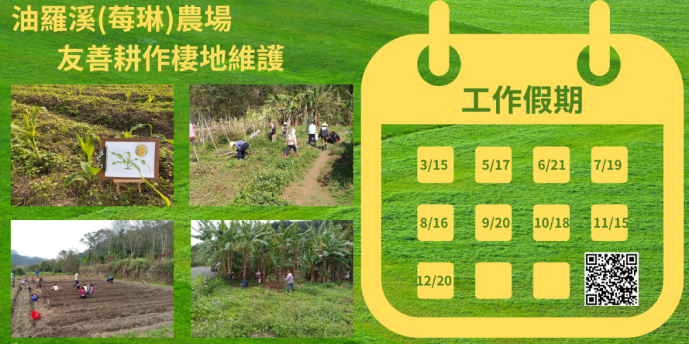 【荒野新竹】0621