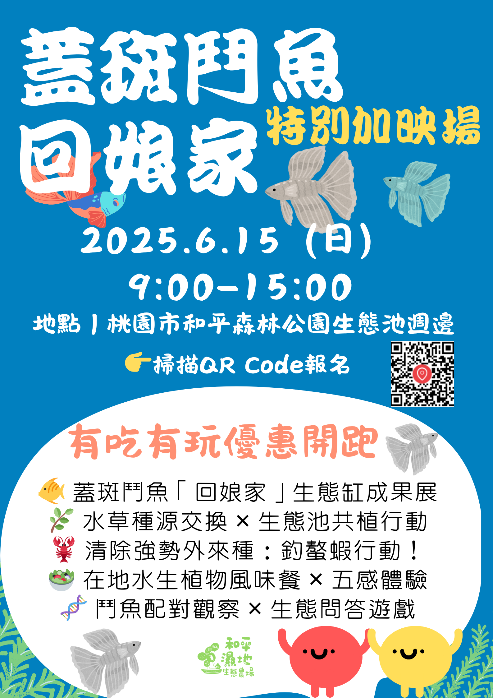 114年蓋斑鬥魚回娘