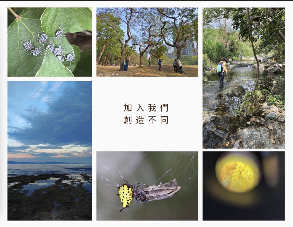 【早鳥優惠】荒野高雄