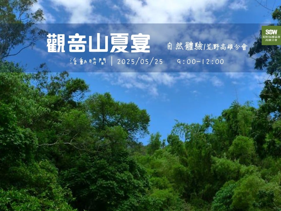 【春日散策遊藝趣】系