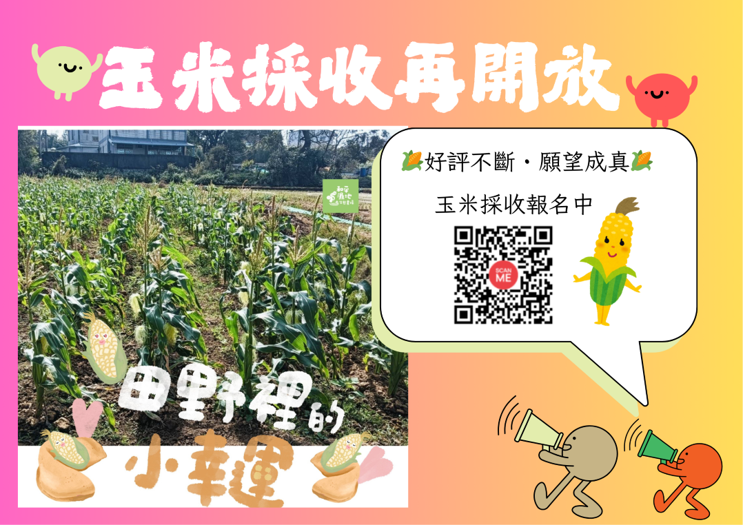 114年~好評不斷,