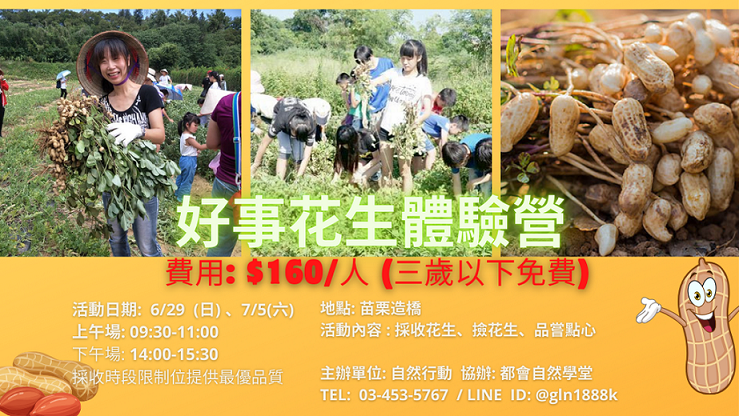 好事花生體驗營(苗栗