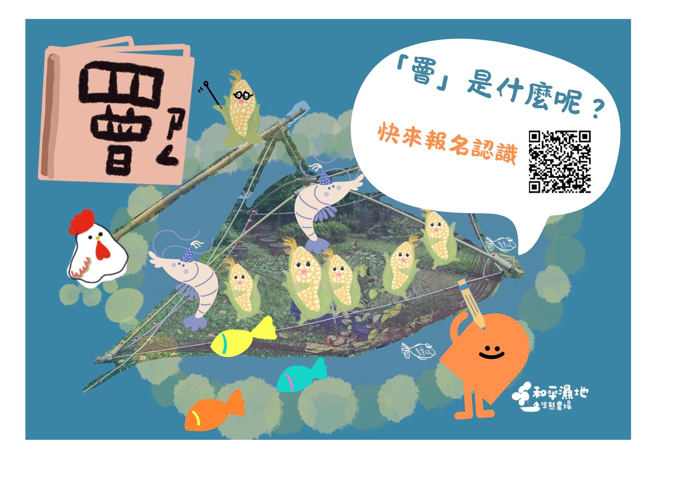 114年~摸魚抓蝦-