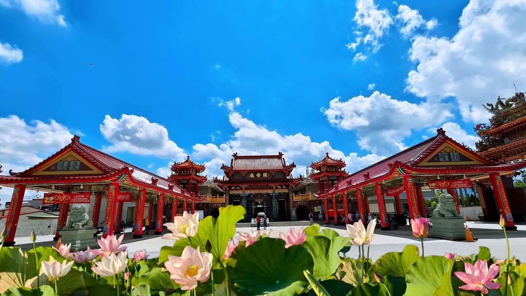 2025臺南白河蓮花