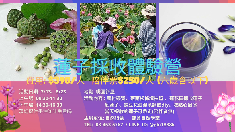 暑期蓮子採收體驗營(