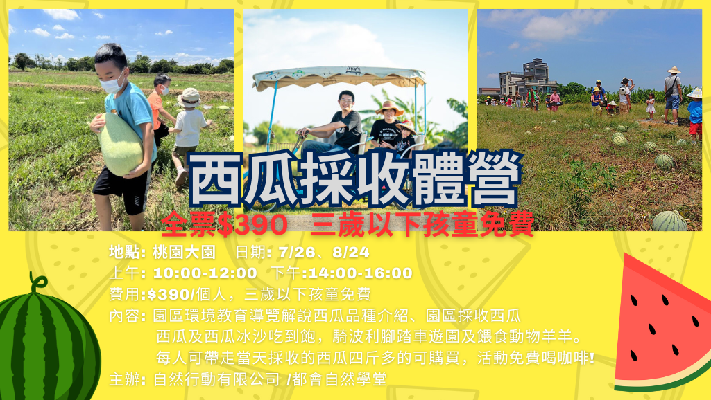 暑期西瓜採收體驗營