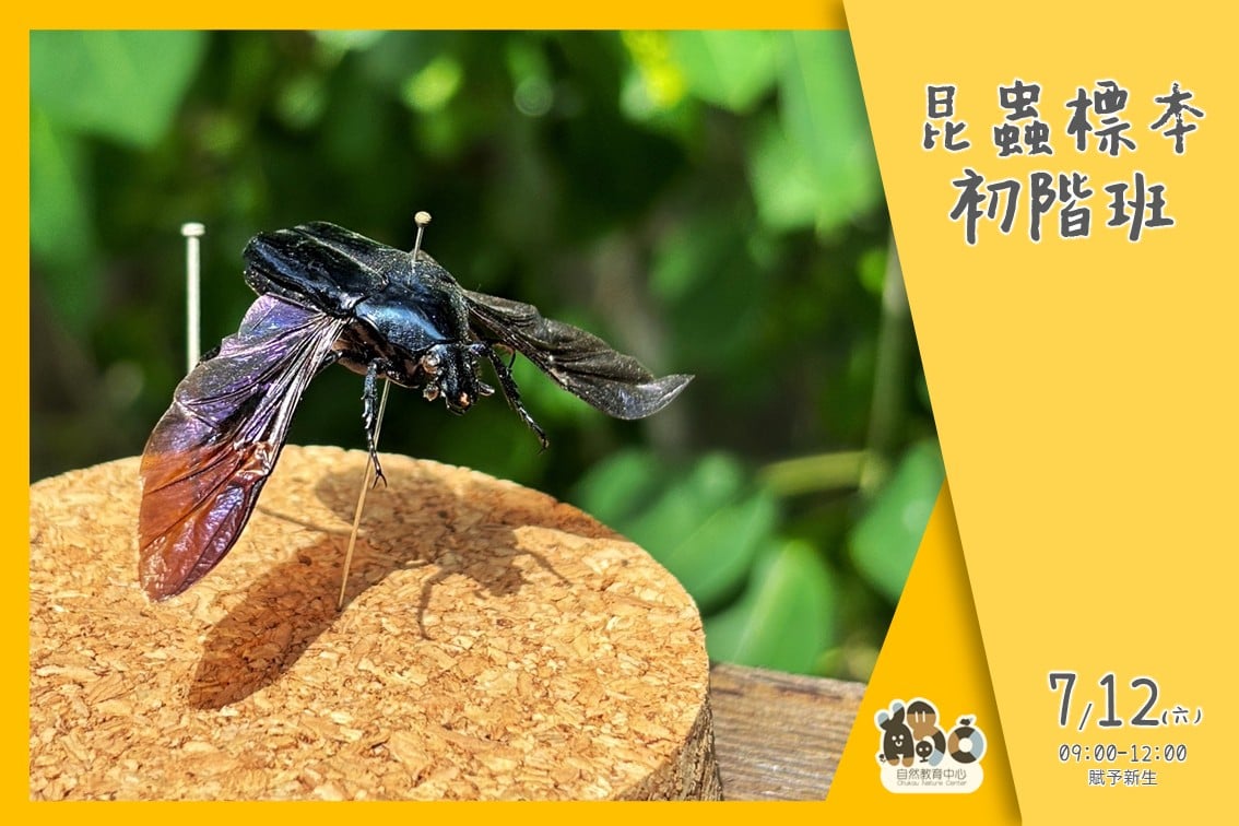 觸口自然教育中心－昆