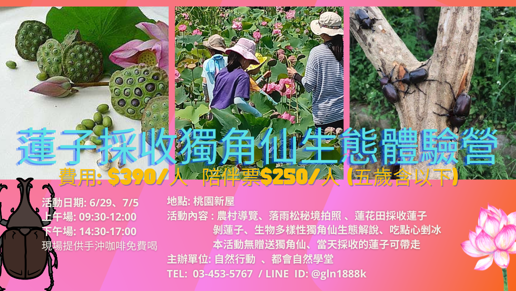 蓮子採收+獨角仙生態