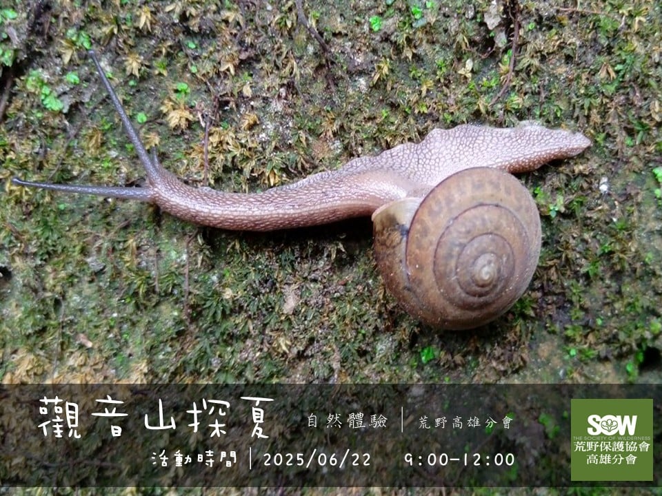 【春日散策遊藝趣】系