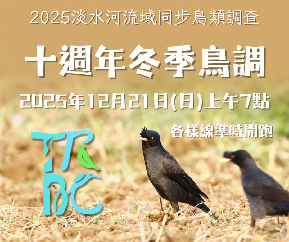 2025年淡水河同步