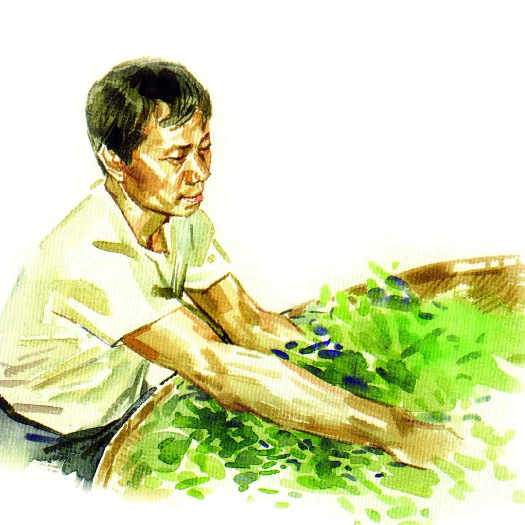 第84次沙坑茶會