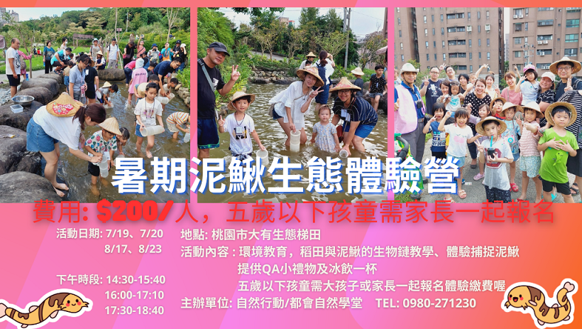 暑期泥鰍生態體驗營