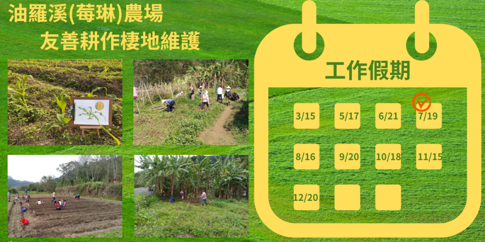 【荒野新竹】0719