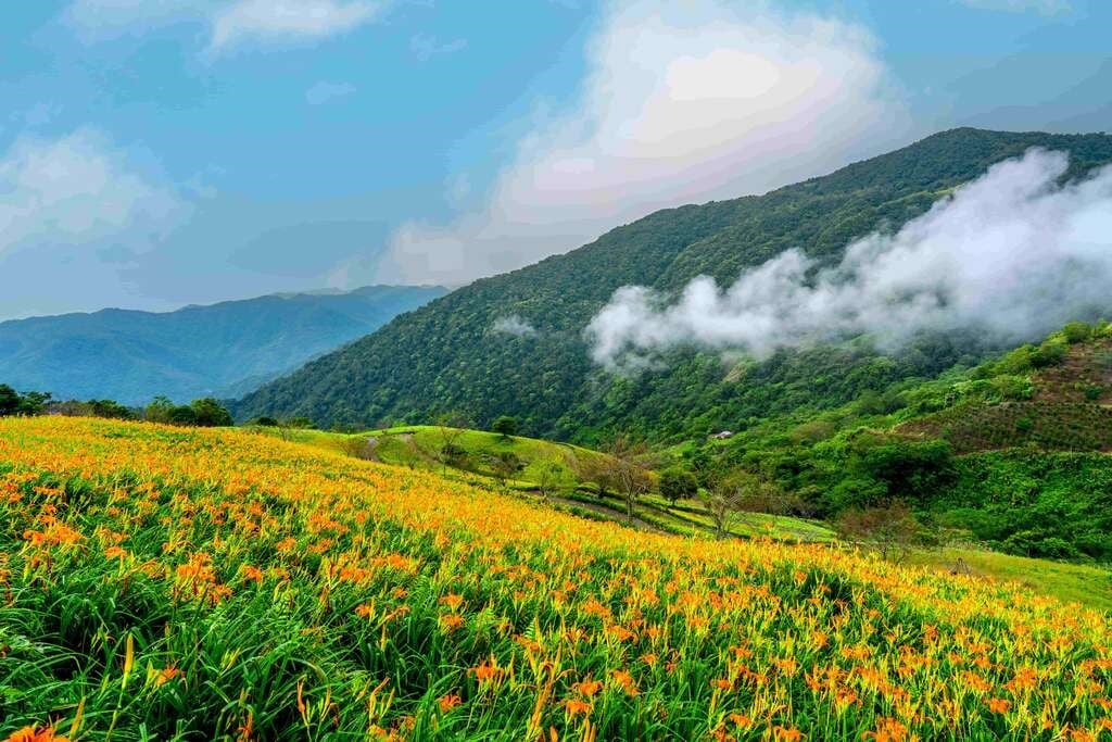 屏警登山會114年台