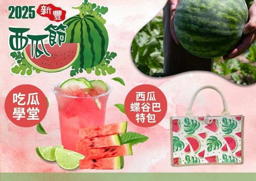 🍉114年新豐鄉西瓜