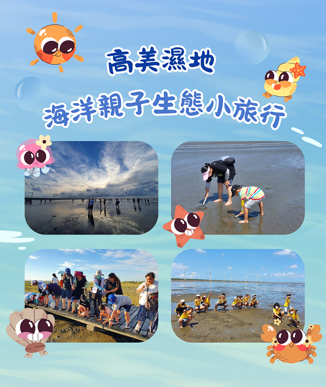 高美濕地海洋親子生態