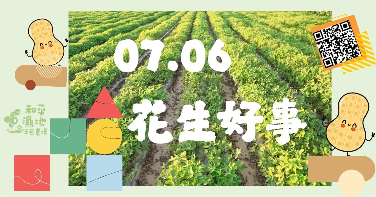 114年~暑假開始花