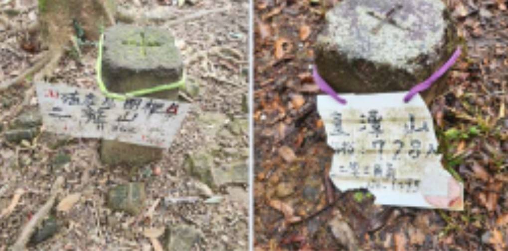 【新竹市健行登山協會