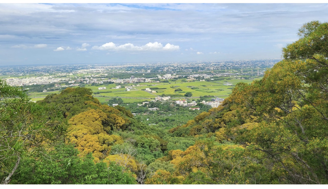 10月11日(六)田