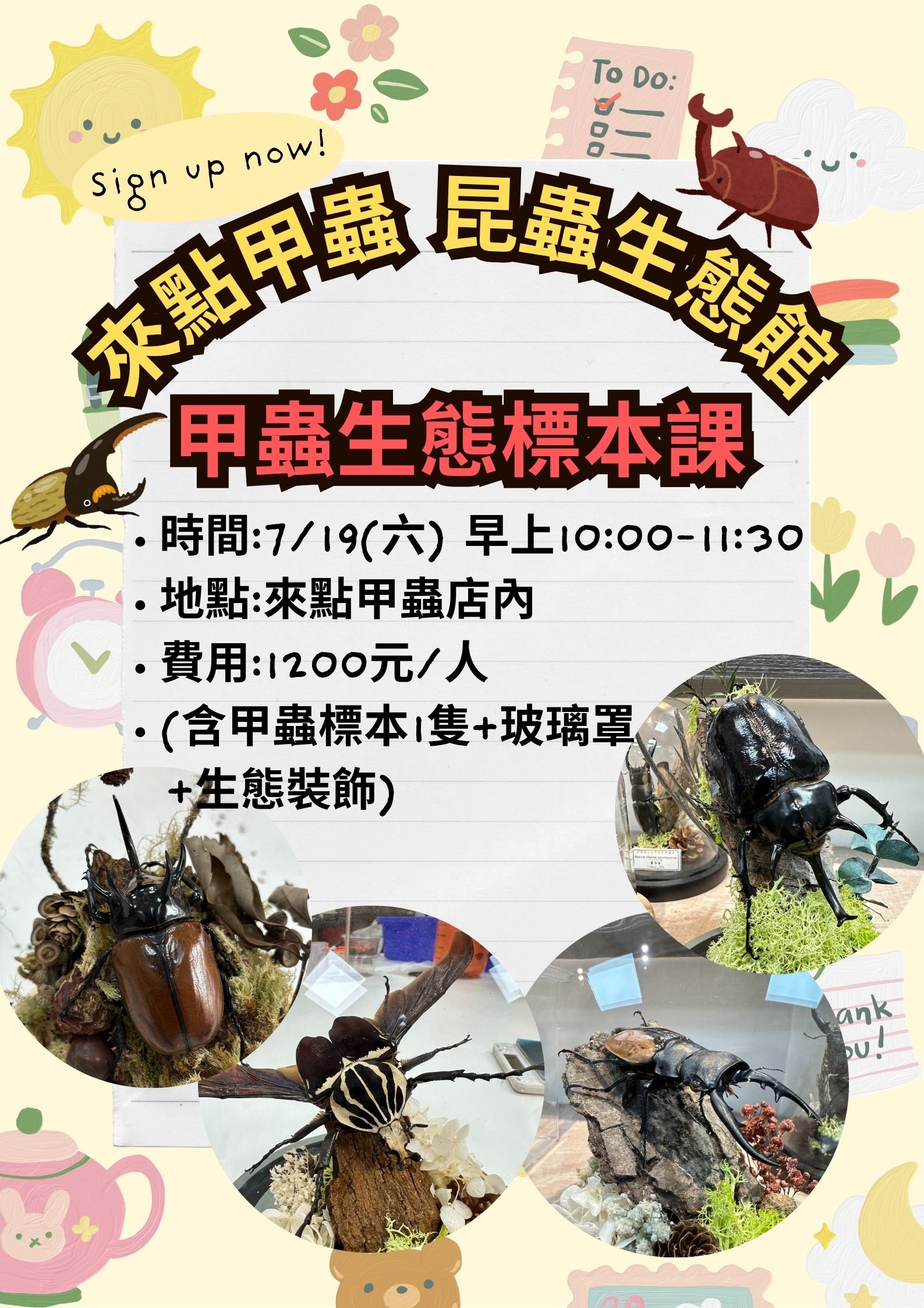 🔥【甲蟲生態標本課報