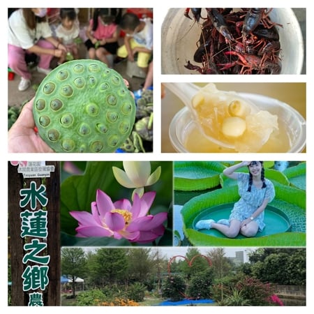 2025桃園蓮花季農