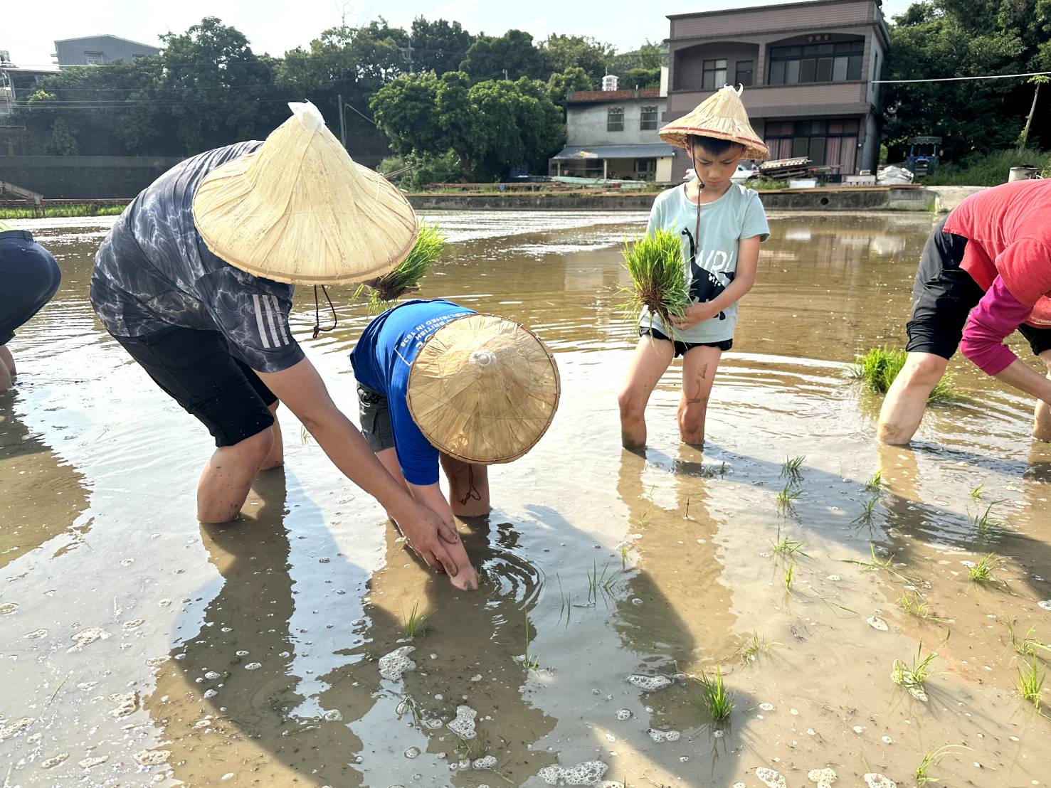 輕旅行－插秧體驗