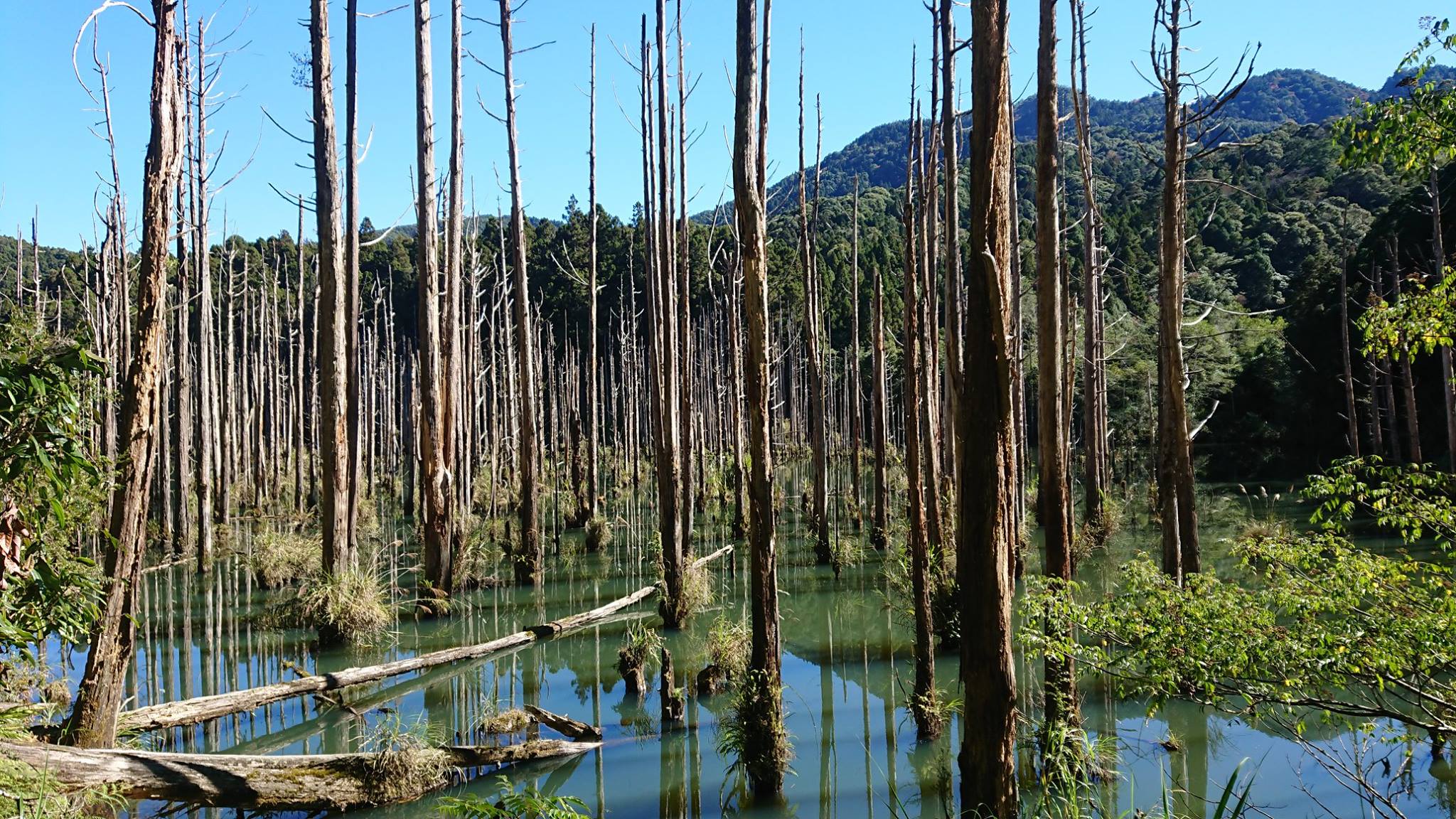 【新竹市健行登山協會