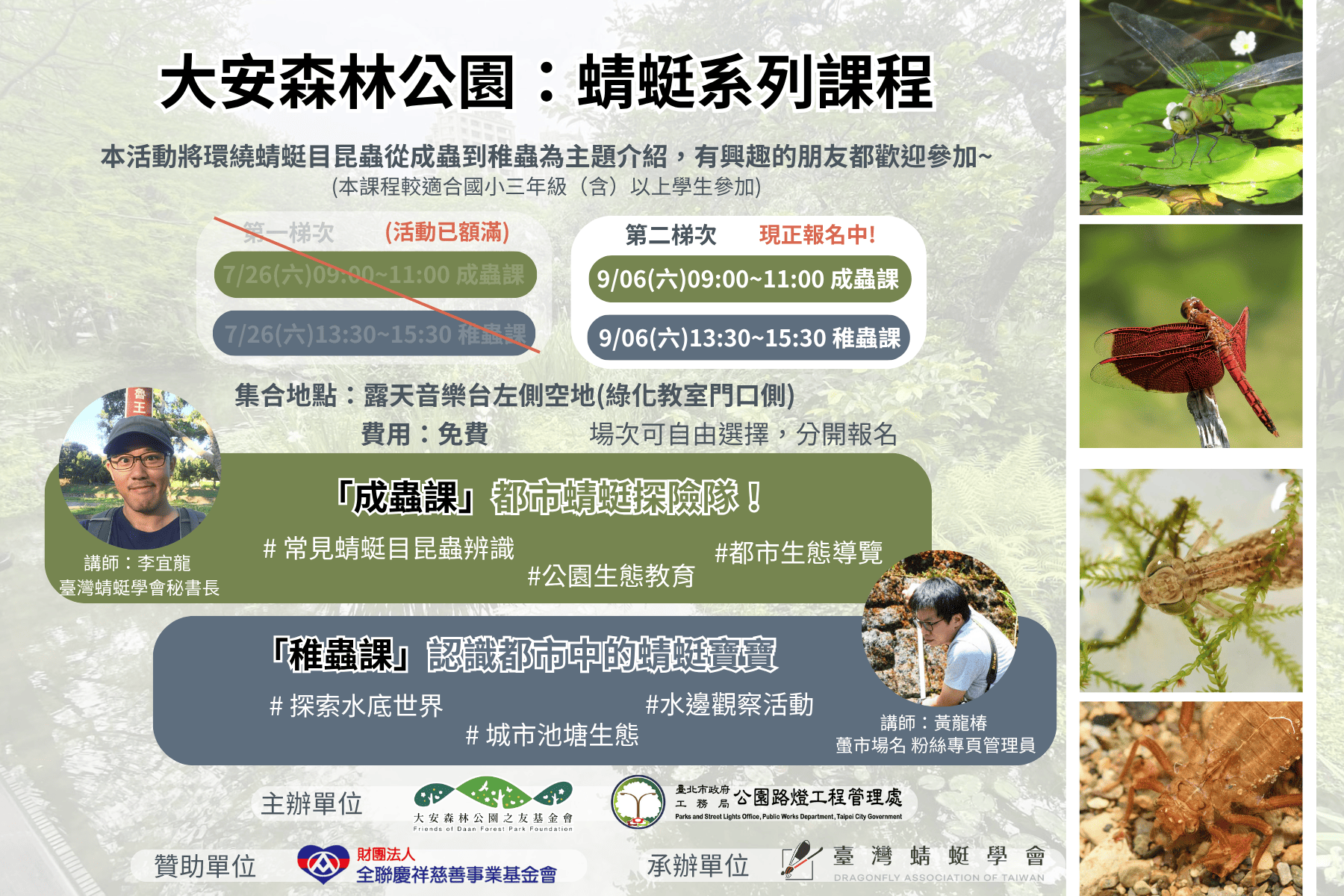 大安森林公園:蜻蜓系