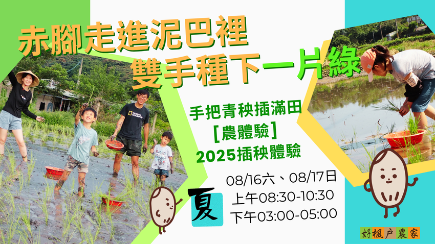 手把青秧插滿田 — 