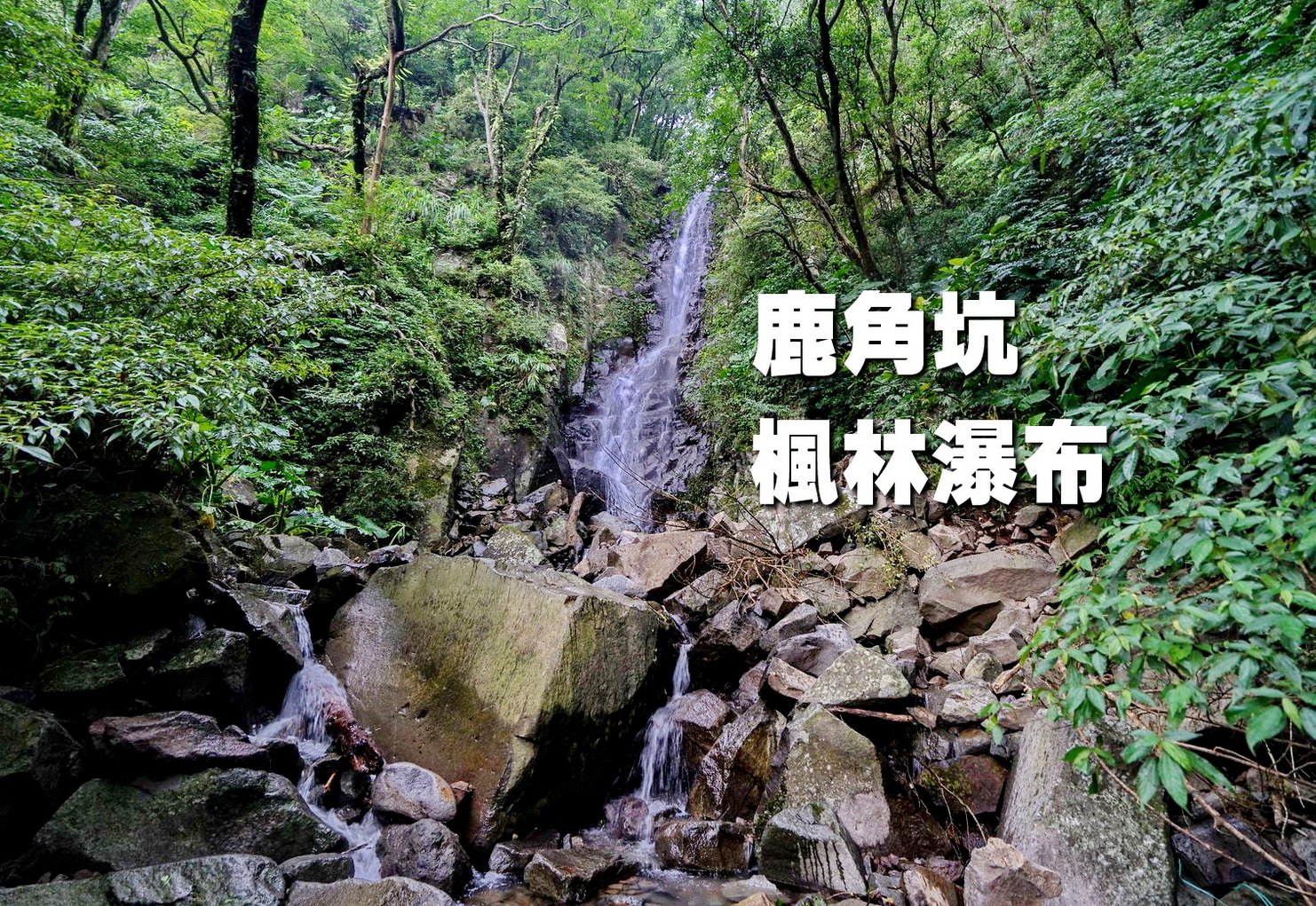 【台中市健康登山協會