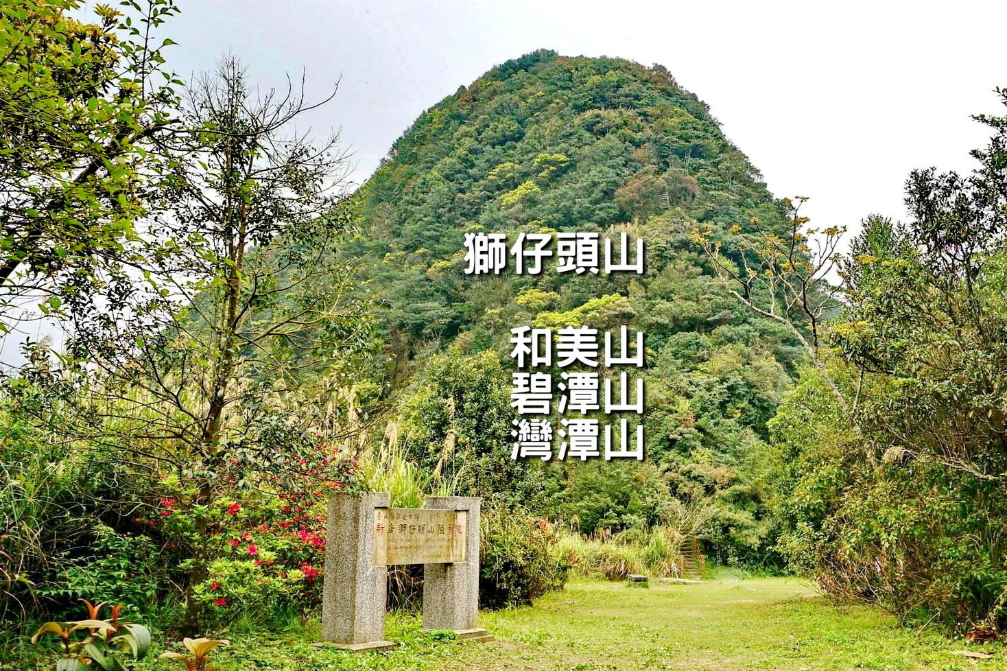【台中市健康登山協會