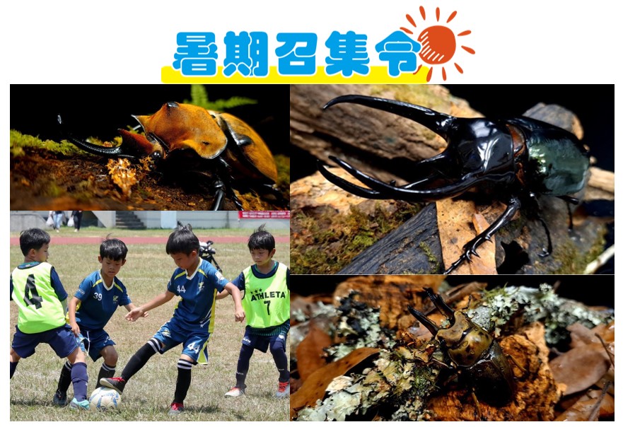 新竹大遠百【暑期召集