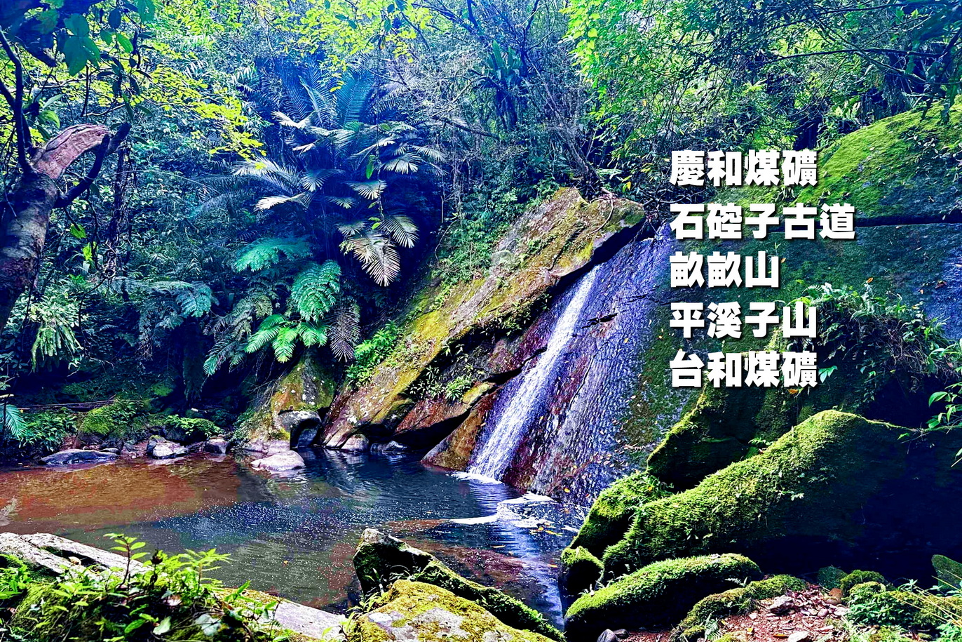 【台中市健康登山協會