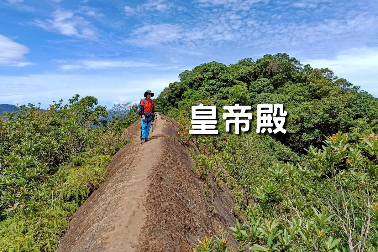 【台中市健康登山協會