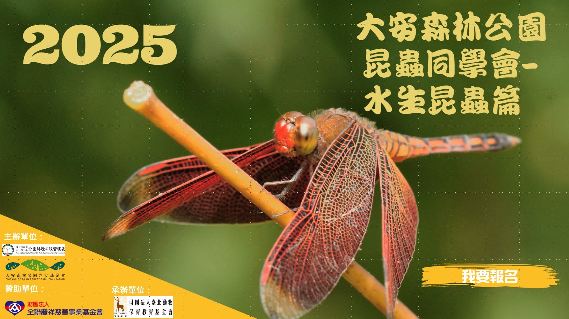 「昆蟲同學會」親子體