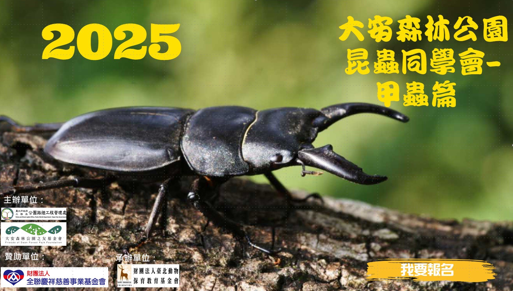 「昆蟲同學會」親子體