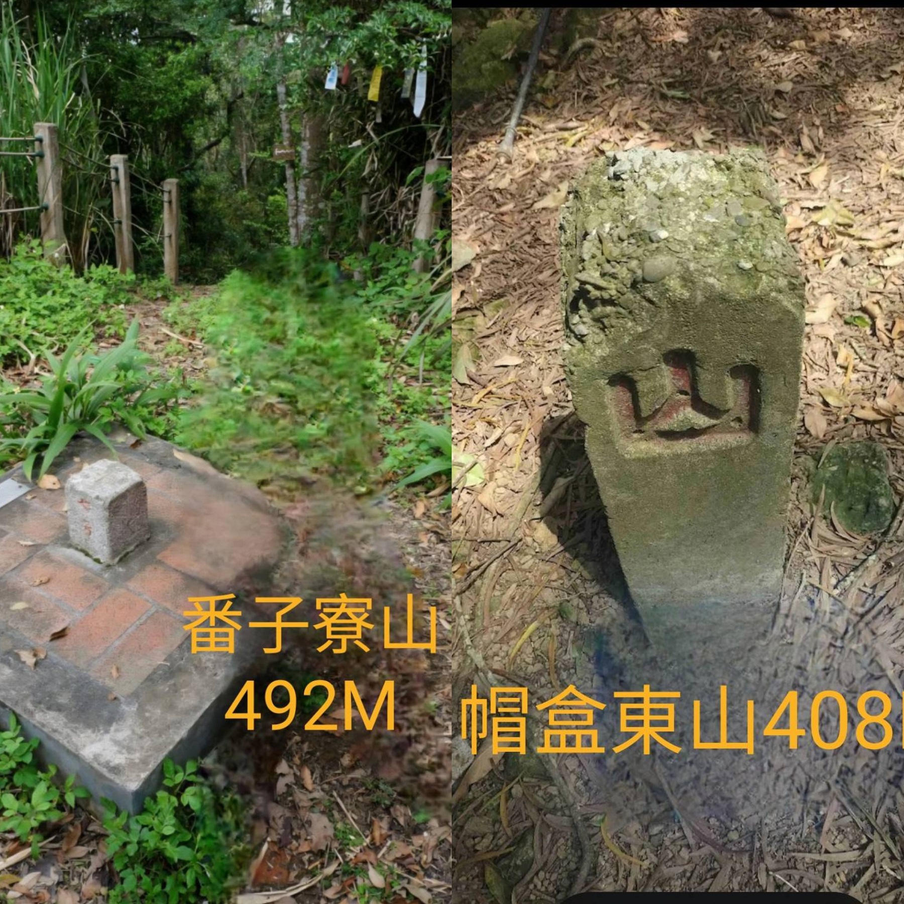 【新竹市健行登山協會