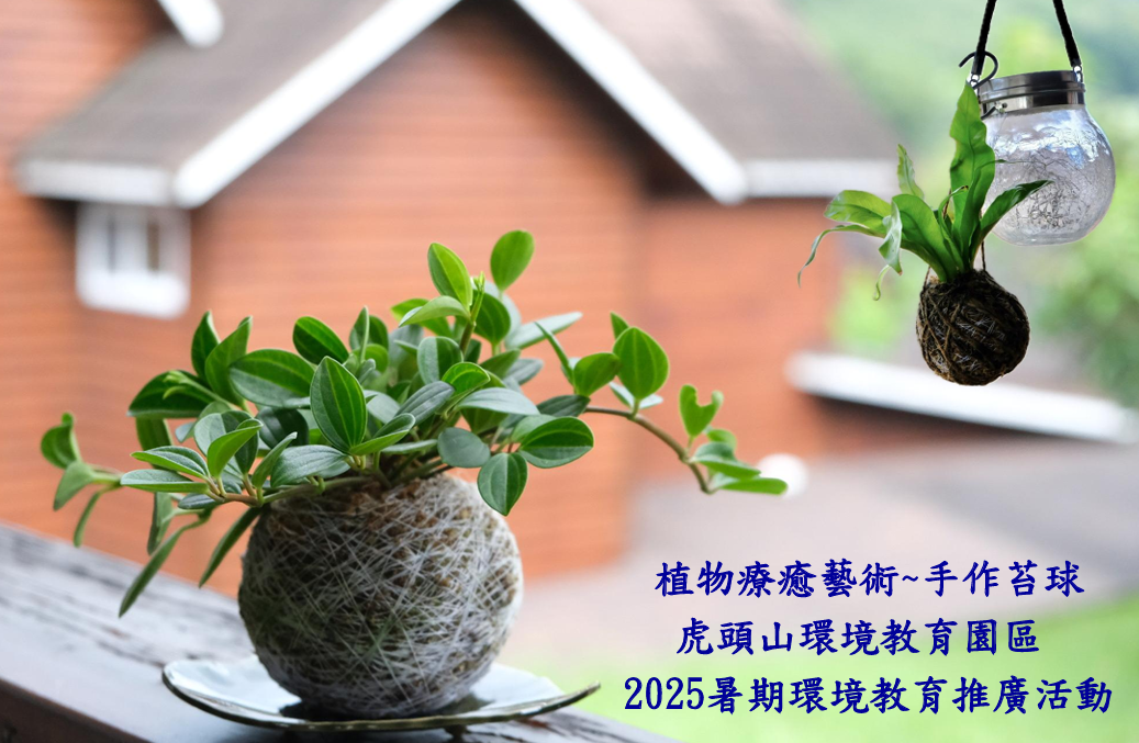 植物療癒藝術~手作苔