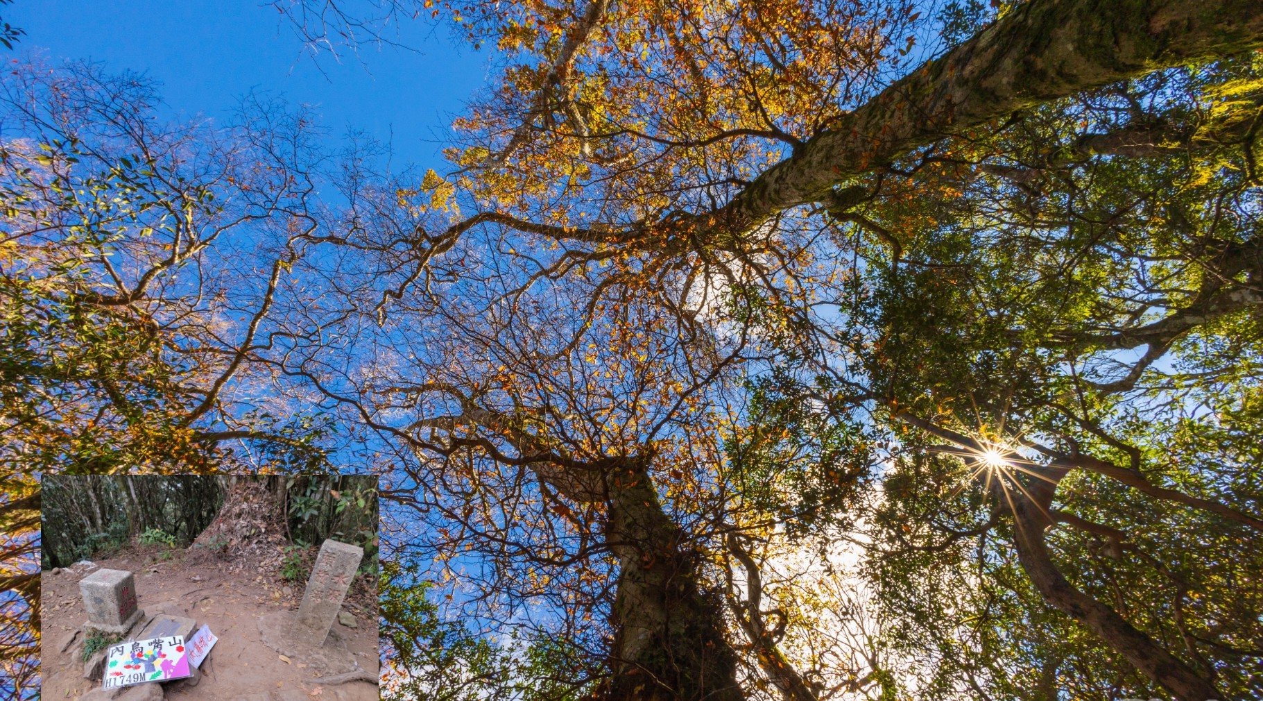 【新竹市健行登山協會
