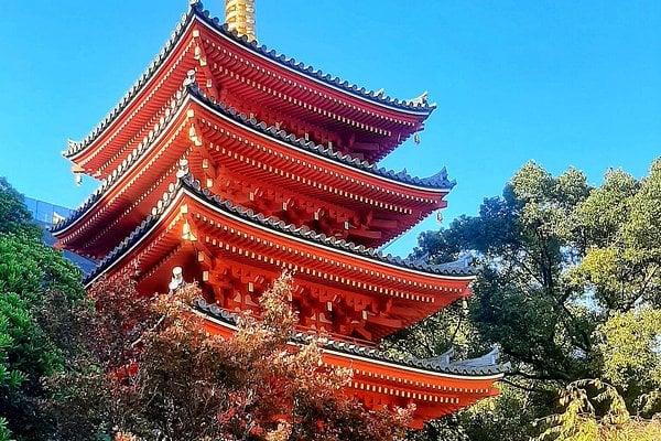 第八組2半退休員工旅
