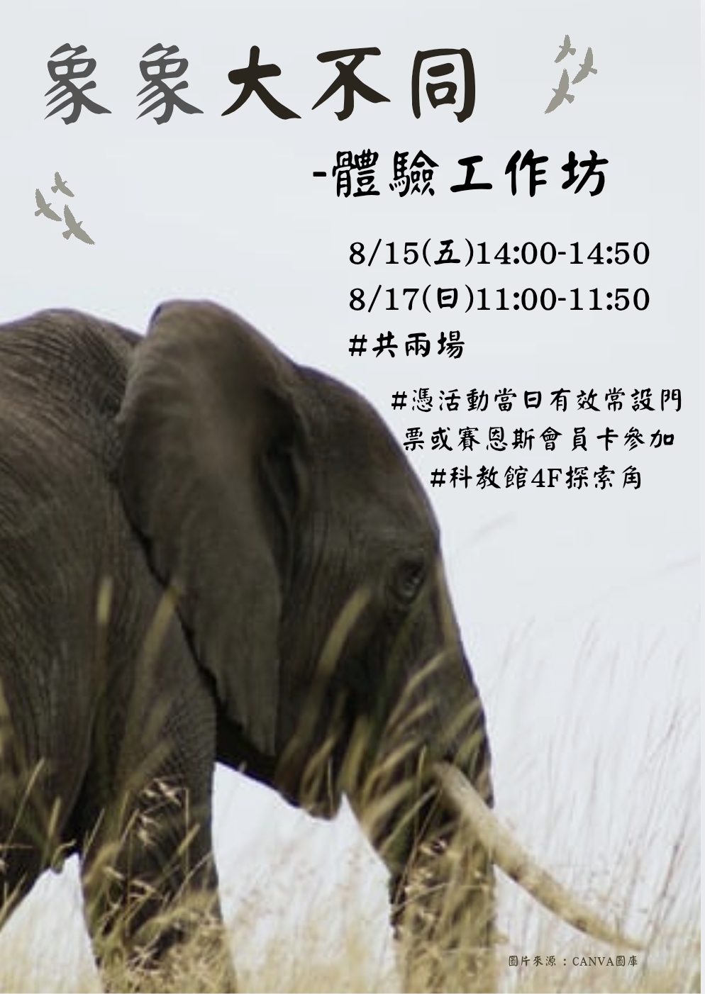 [象象大不同] 體驗