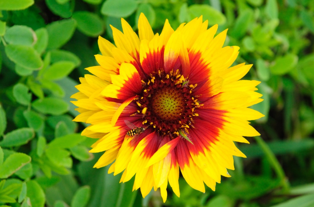 桃花源療癒工坊 20