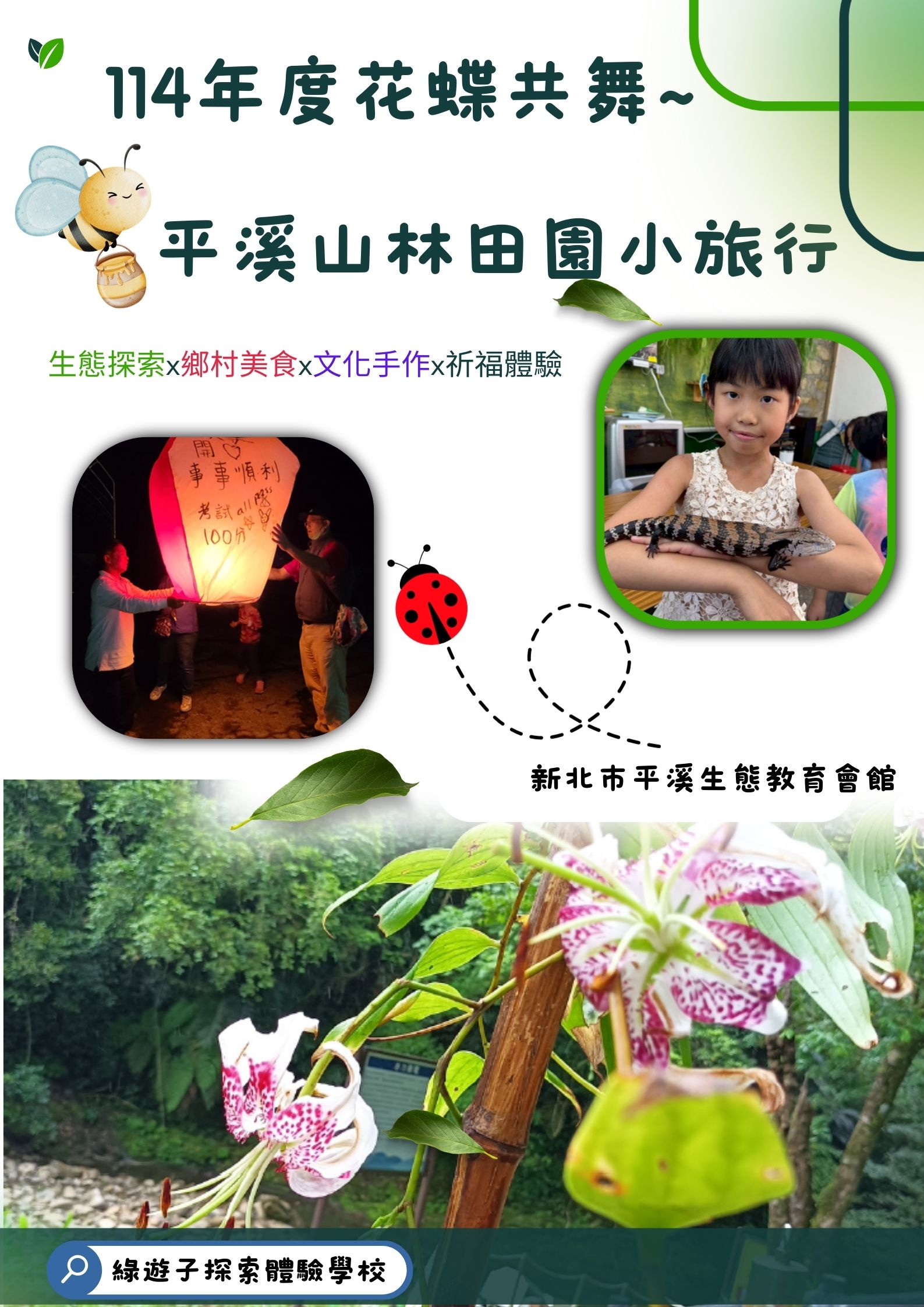 114年度花蝶共舞~