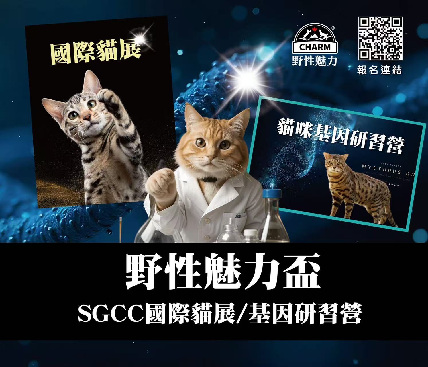 野性魅力盃國際貓展/