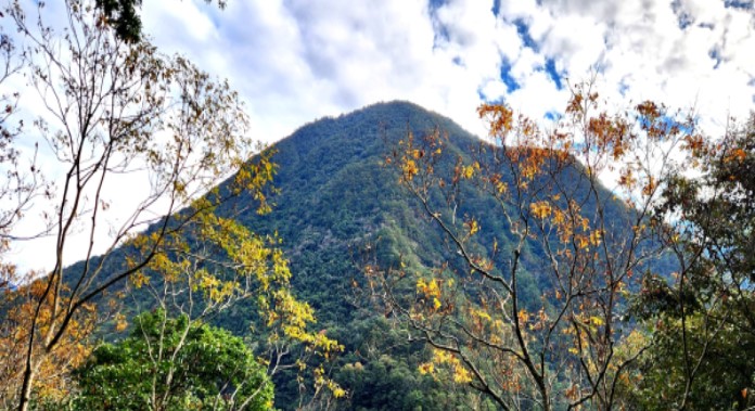 屏警登山會114年谷