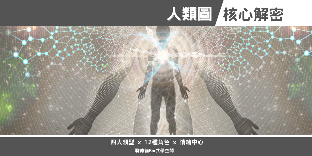 114年11月 人類