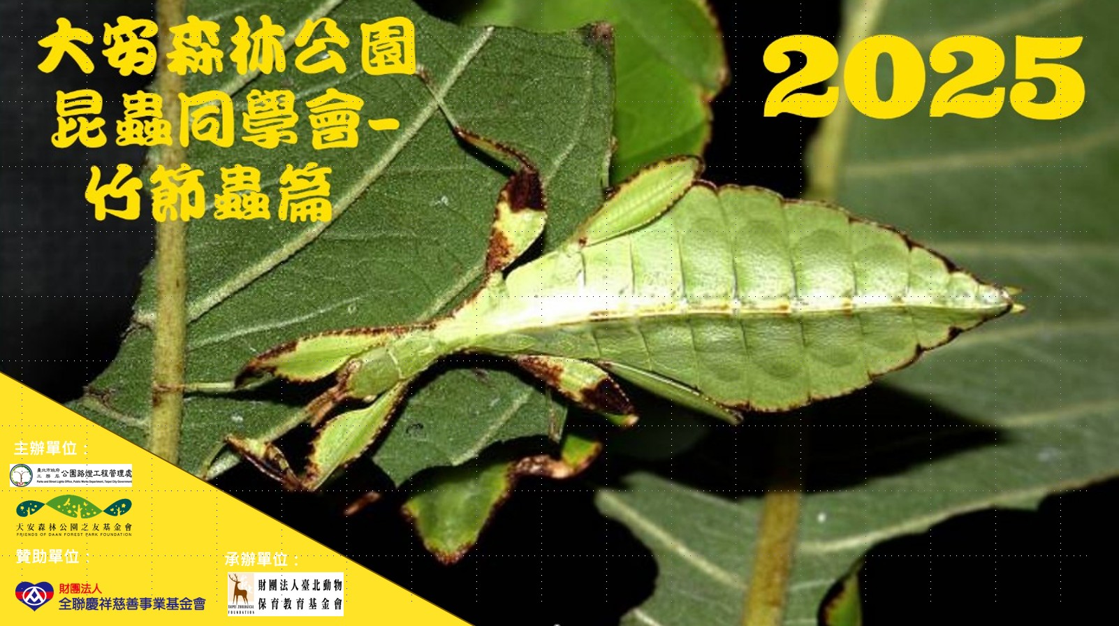「昆蟲同學會」親子體